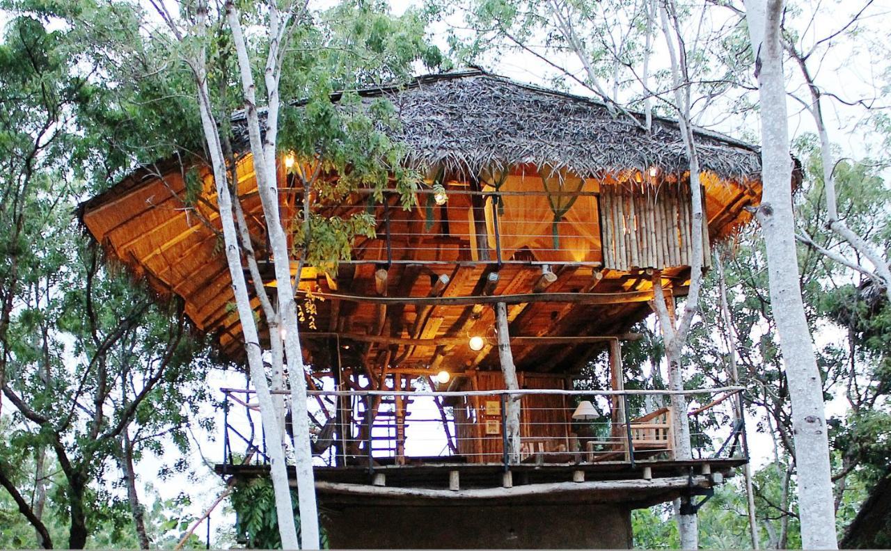 The Saraii Tree Lodge Тіссамахарама Екстер'єр фото